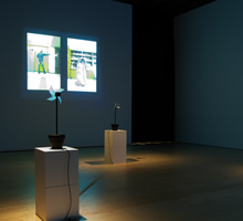 ボンプリダンプリ写真01