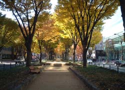 定禅寺通りの様子その1