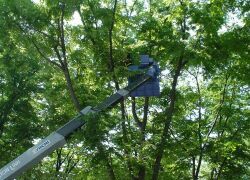 夏は剪定、冬は電球飾りの高所作業車
03/06/06