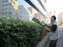 電動生垣バリカンの登場!