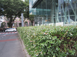 出来上がり、きれいになった!