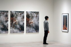 作品鑑賞。目を凝らす。