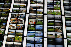 コンタクトシート