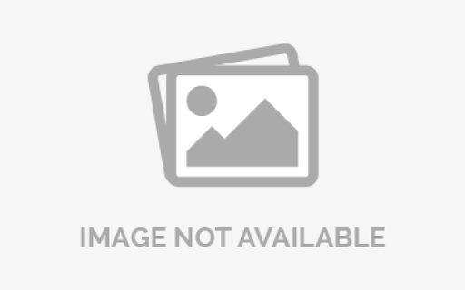 写真「Diary（全6号）」の書影