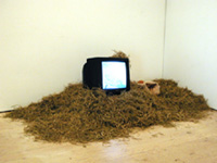 �y�ʐ^�z��i�摜