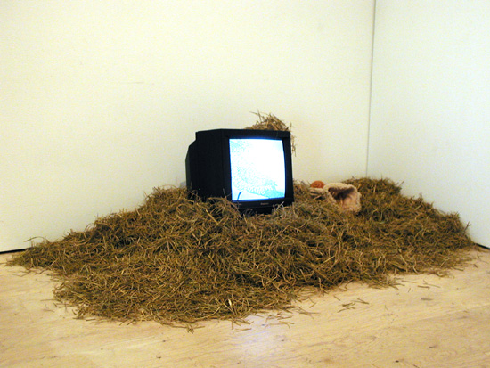 �y�ʐ^�z��i�摜